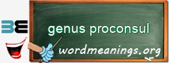 WordMeaning blackboard for genus proconsul